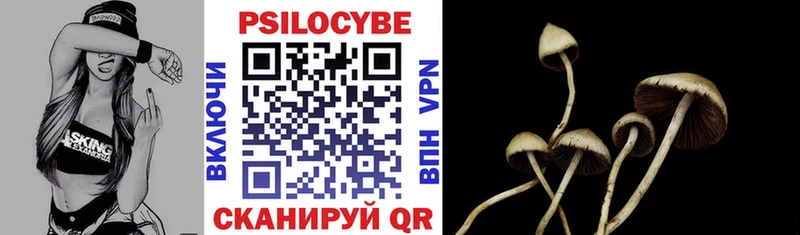 цена наркотик  Исилькуль  Галлюциногенные грибы Psilocybe 
