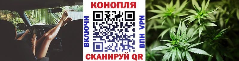 Шишки марихуана OG Kush Исилькуль